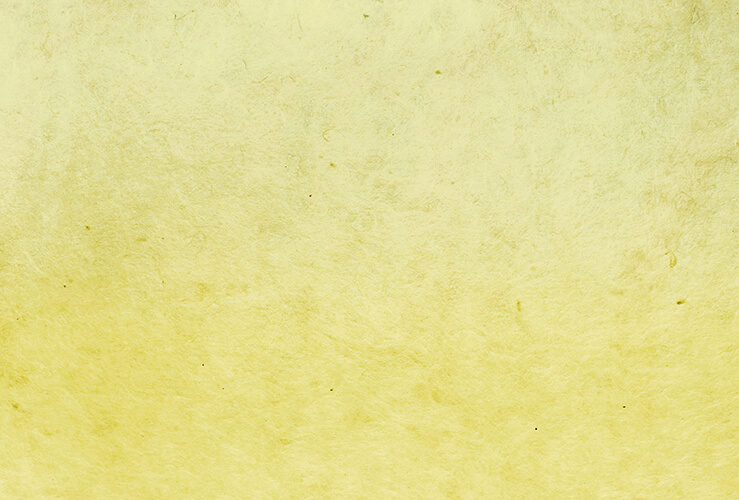 Consorzio Sviluppo Industriale